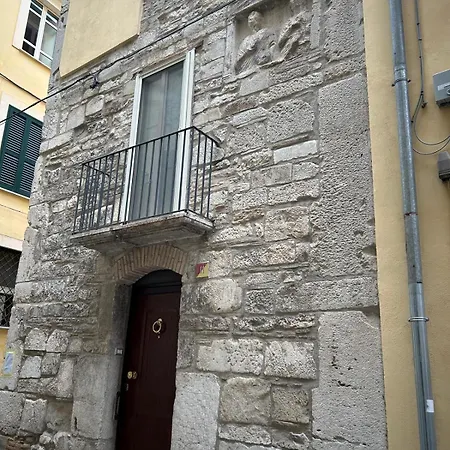 Bellezza Orsini